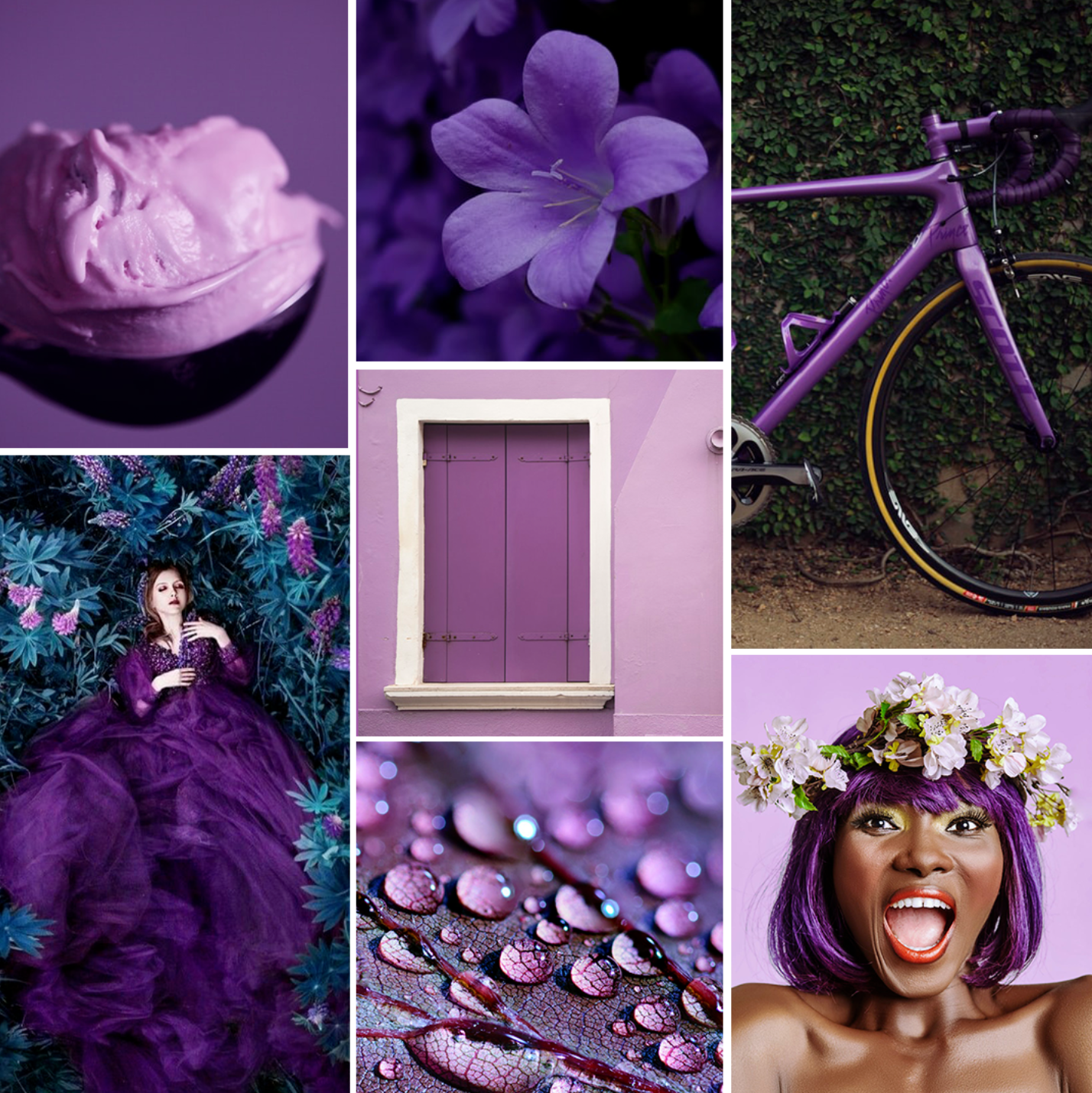 浪漫多变沉淀优雅时光,被您忽略的低调祥瑞色它是谁呢?